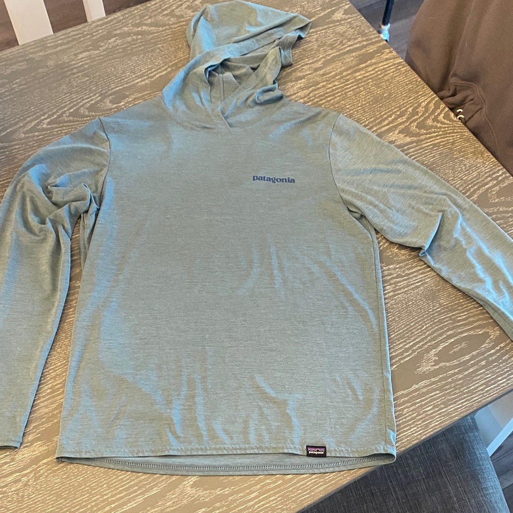 Patagonia Men's Sky Blue Hoodie